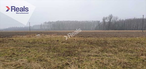 Działka budowlana na sprzedaż Marków-Towarzystwo 7 000m2 Foto 2