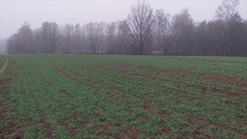 Działka gospodarstwo rolne na sprzedaż Byki 7 000 000m2 Foto 2