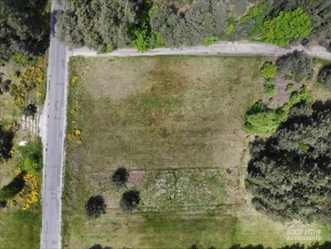 Działka rekreacyjna na sprzedaż Nowy Janów 3 818m2 Foto 6