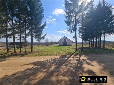 Działka 8200 m² pod domy jednorodzinne (media, WZ) działka Usnarz Górny