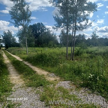 Działka 9900 m² z potencjałem inwestycyjnym - blisko Prażmowa działka Dobrzenica, Jaskółcza