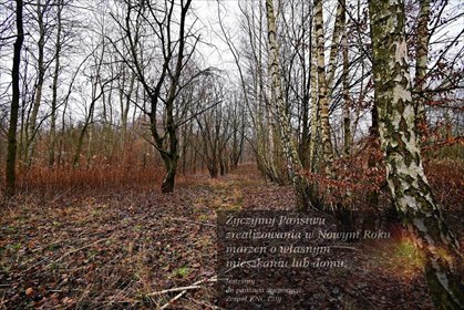 działka na sprzedaż 9530m2 działka Kazimierz Dolny