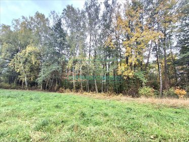 działka na sprzedaż 3295m2 działka Radonie