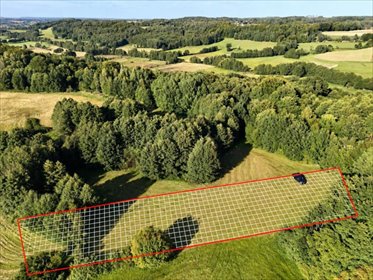 Działka 18 000 m² w Kaszubach z warunkami zabudowy - polecam! działka Strysza Buda, Kartuska