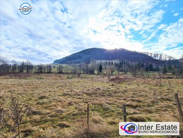 Działka budowlana na sprzedaż Łomnica, Sudecka 1 500m2 Foto 1