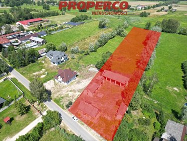 Działka 7100 m² w Pijanowie - polecam działka Słupia (Konecka), Pijanów