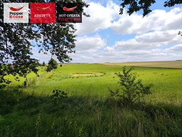 Działka 2500 m² z stawem w Stegnach - idealna pod dom. działka Stegny