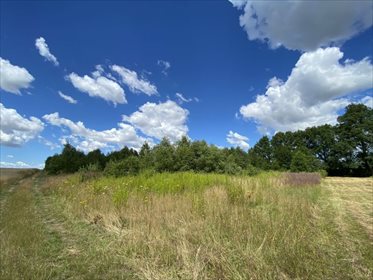 działka na sprzedaż 9900m2 działka Krzywnica