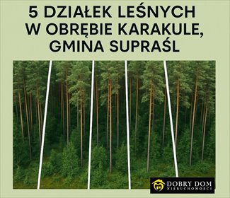 Do sprzedania działki leśne w Karakule - własny kawałek natury działka Karakule