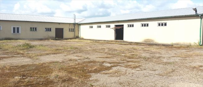 Magazyn na sprzedaż Sobota, Zachodnia 16 800m2 Foto 4