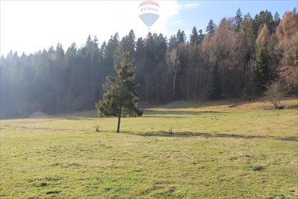 działka na sprzedaż 6161m2 działka Grywałd
