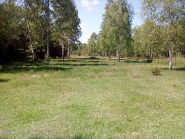 Dom na sprzedaż Mirowice 72m2 Foto 2