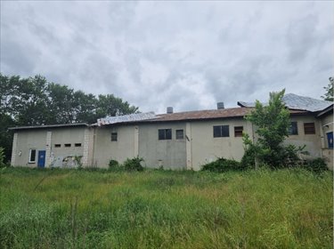 działka na sprzedaż 4600m2 działka Mordy, Mordy, Ptaszki