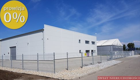lokal użytkowy na wynajem 420m2 lokal użytkowy Suchy Dwór