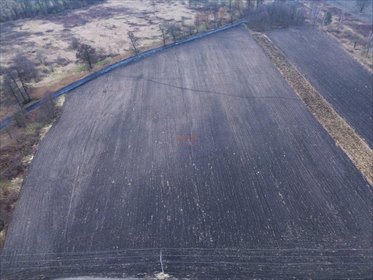 działka na sprzedaż 3264m2 działka Wrocław, Psie Pole, Pawłowice, Złotej Lilii