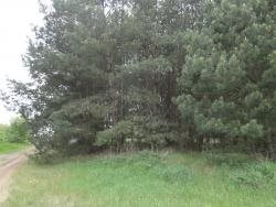Działka leśna na sprzedaż Skroda Wielka 9 200m2 Foto 3