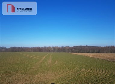 działka na sprzedaż 2600m2 działka Zawada