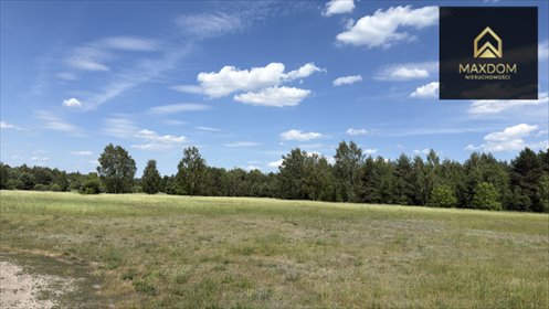 Polecam działkę 1500 m² w Marianowie przy Kampinoskim Parku działka Marianów, Aleja Dzika
