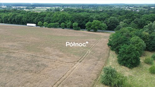 Atrakcyjne działki inwestycyjne 2,45 ha w Dąbrowie Bolesławieckiej - polecam! działka Dąbrowa Bolesławiecka