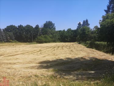 działka na sprzedaż 3140m2 działka Radziszów