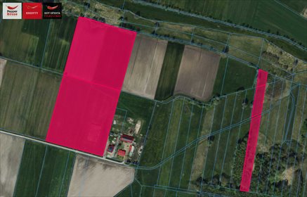 Rozległa działka 4,68 ha w urokliwych Borkach Lipkowskich działka Borki Lipkowskie