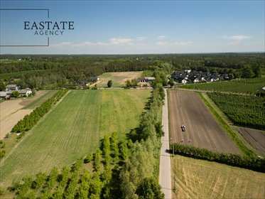 Działka 1000 m² w Wincentowie las, spokój, komfort działka Wincentów
