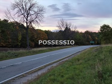 Działka usługowa 2700 m² w Siodłkowicach - inwestuj! działka Dobromierz
