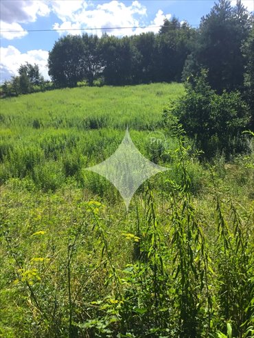 działka na sprzedaż 2513m2 działka Minoga