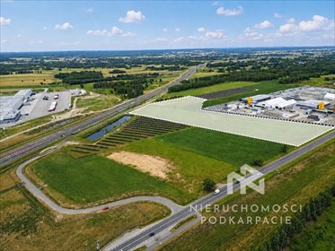 Działka pod inwestycję 40 ha przy S19 z infrastrukturą. działka Sokołów Małopolski
