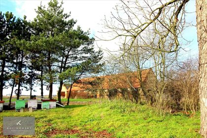 Działka inna na sprzedaż Kamienna 1 185m2 Foto 5