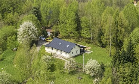 Wyjątkowa rezydencja z 5 pokojami, nowoczesny remont dom Odrzykoń, Klemensa z Moskorzewa