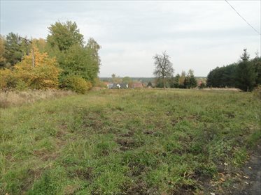 działka na sprzedaż 3000m2 działka Szczecin, Płonia, Stepowa