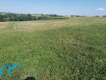 Działka rolna na sprzedaż Łączka, Wierzbowa 20 000m2 Foto 2