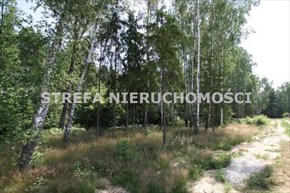 Działka leśna na sprzedaż Liciążna 2 128m2 Foto 4