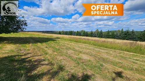 Działka 30 a w Sąspowie (las, woda, asfalt) działka Sąspów