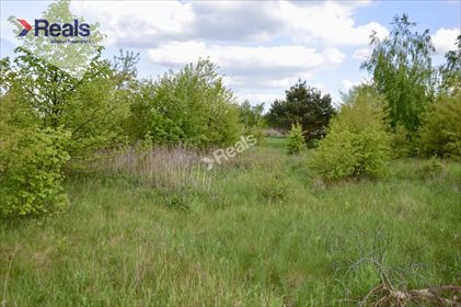 Działka budowlana na sprzedaż Kaliszki 1 290m2 Foto 3