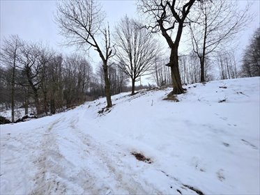 działka na sprzedaż 1800m2 działka Szkodna