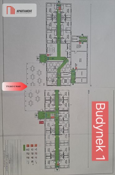 lokal użytkowy na wynajem 1737m2 lokal użytkowy Tleń