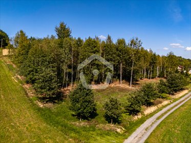 Działka budowlana przy lesie z warunkami zabudowy, 3400 m2 działka Zagorzyce