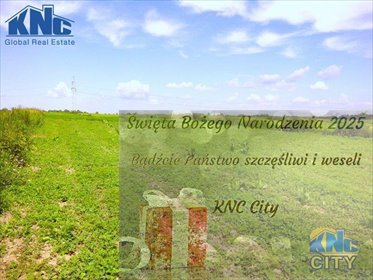 działka na sprzedaż 13500m2 działka Lublin, Trześniów