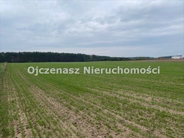 Działka 1527 m² z mediami i nowymi domami (Strzelce Górne) działka Strzelce Górne