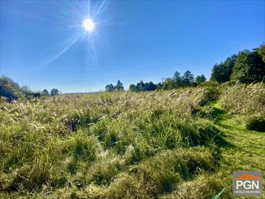 działka na sprzedaż 1710m2 działka Gryfice, ulica