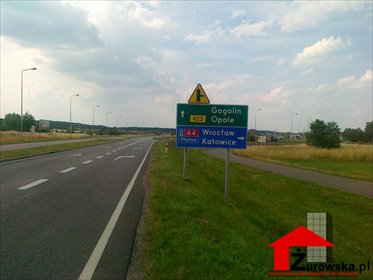 działka na sprzedaż 40000m2 działka Krapkowice