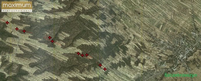 Działka leśna na sprzedaż Szczebrzeszyn 30 150m2 Foto 1