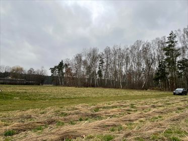 działka na sprzedaż 2000m2 działka Krze Duże