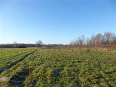 Działka rolna na sprzedaż Wielogóra, Kwiatowa 2 600m2 Foto 3