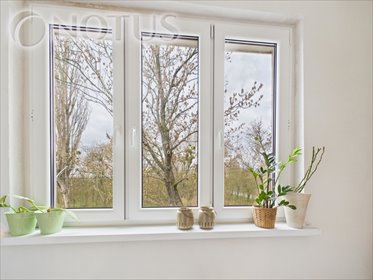 Przestronne 41 m² po remoncie z loggią i zielenią mieszkanie Wrocław, Topolowa