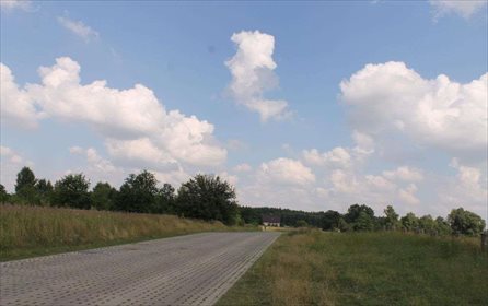 Działka rolna na sprzedaż Łódź, Widzew, Stare Moskule, Opolska 14 997m2 Foto 6