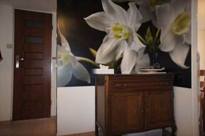 mieszkanie na wynajem 50m2 mieszkanie Stargard