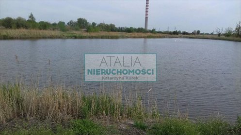 Działka z dwoma stawami 22 000 m² – rekreacja i biznes działka Domaniewek